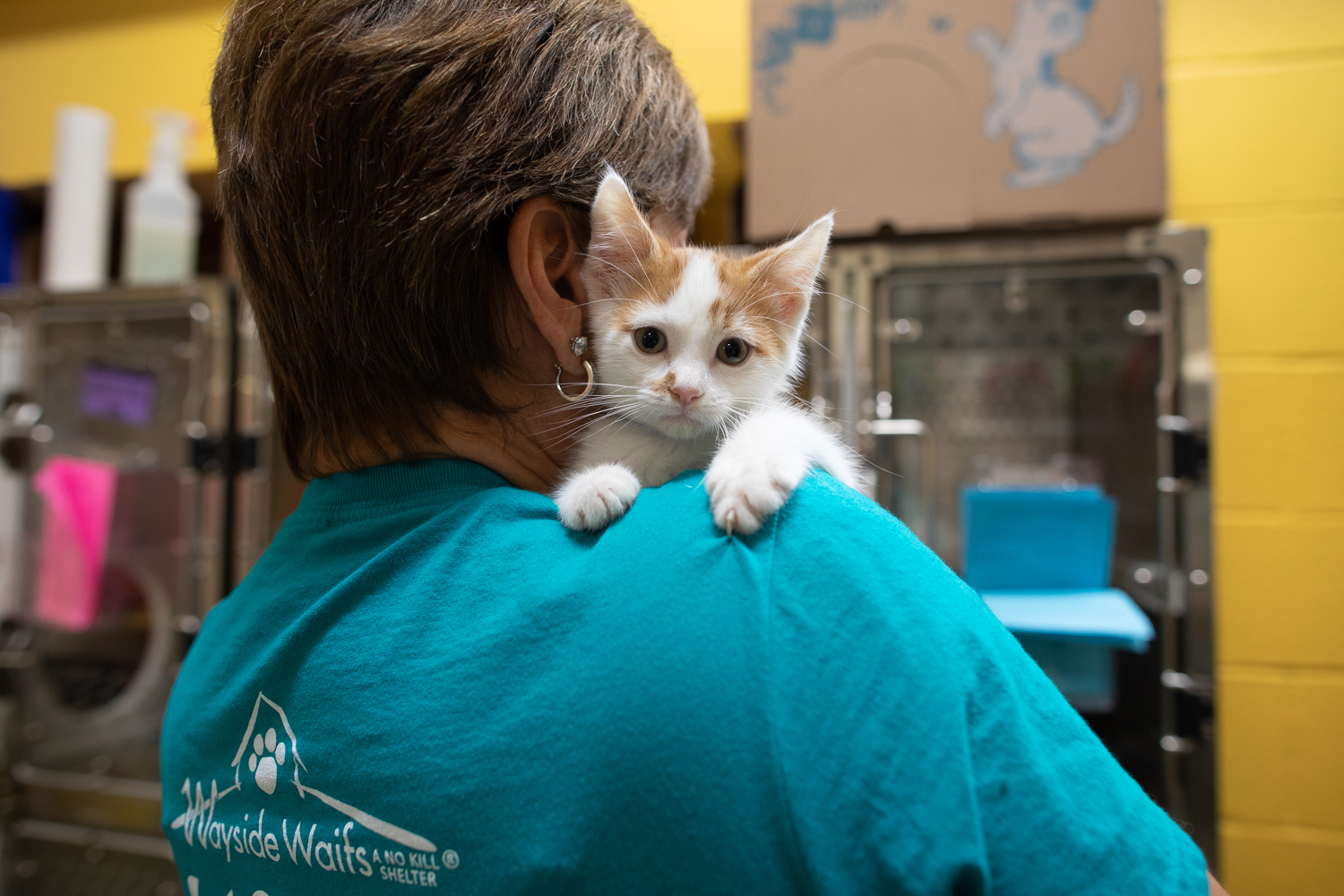 Wayside Waifs-140