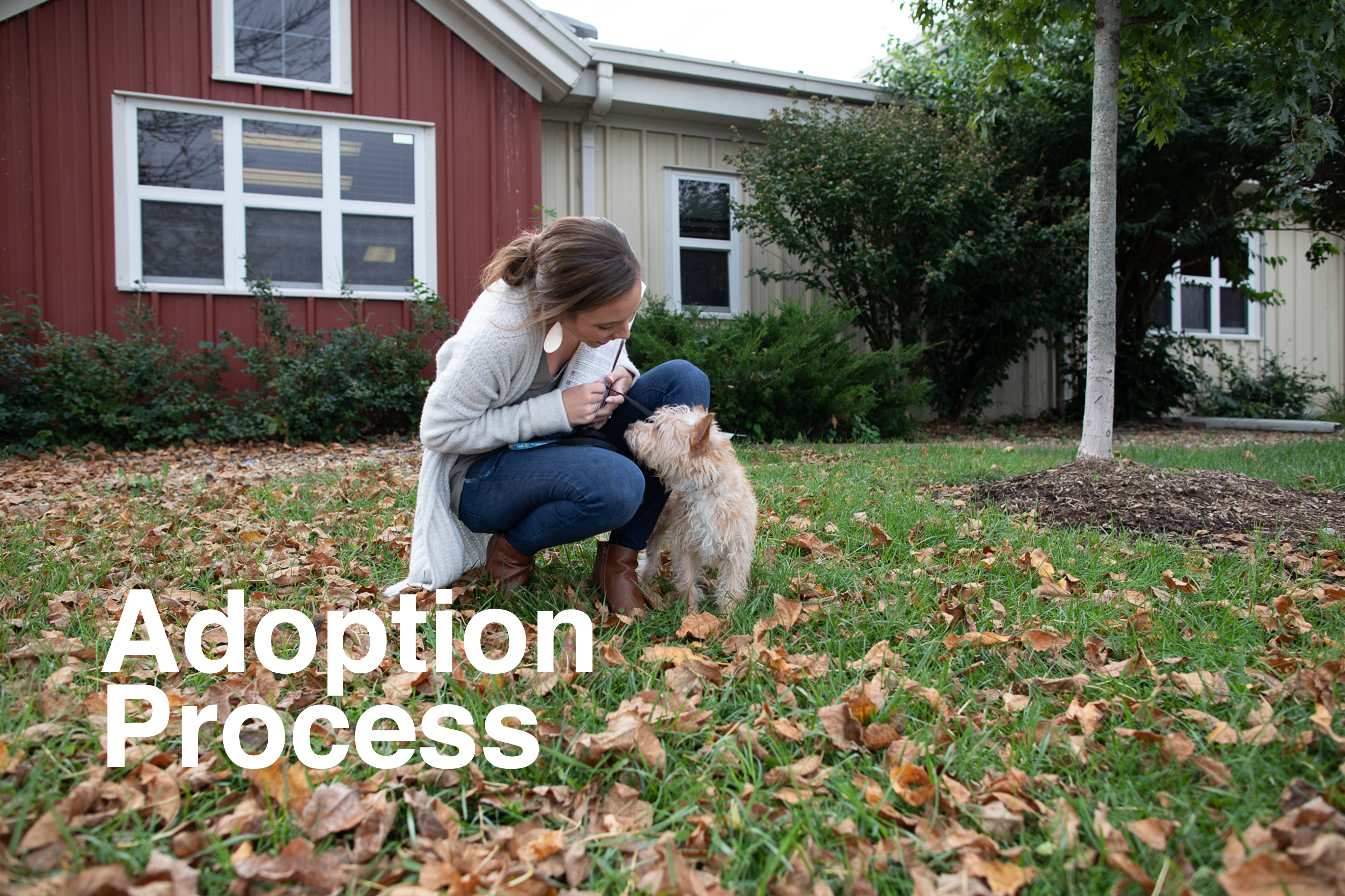 AdoptProcess_21